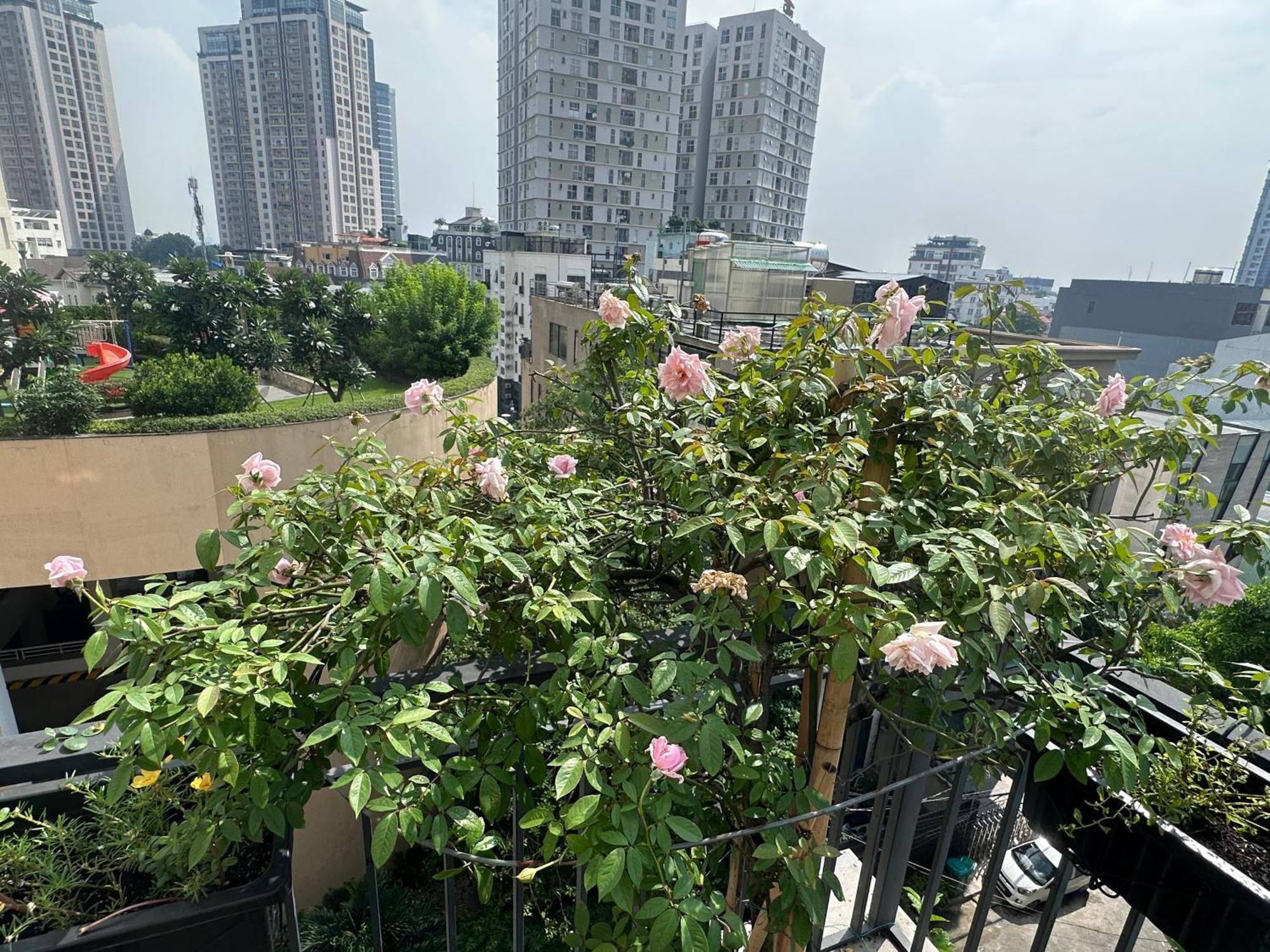 Homey Apartment Ho Chi Minh City Exterior photo
